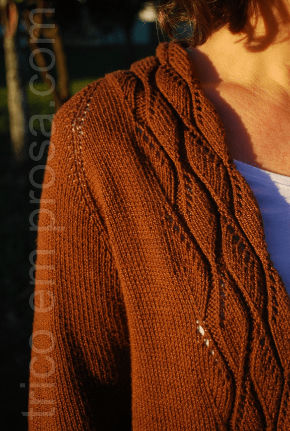 blog Tricô em Prosa - da cor do chocolate - Cardigã Amiga